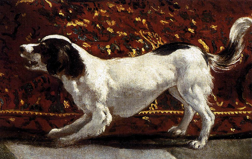 perro-2-velazquezlos-hermanos-de-jose-lyceo-hispanico