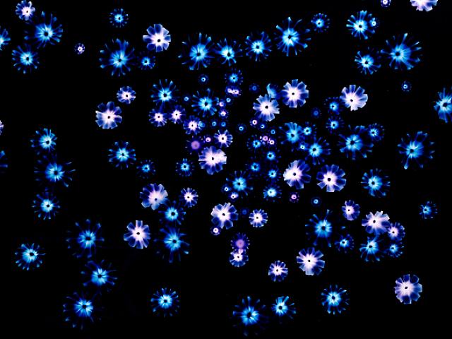 cielo.-WW44.-por Noeeta Madahar.-2007.-Howad Yezerski Gallery.-artnet