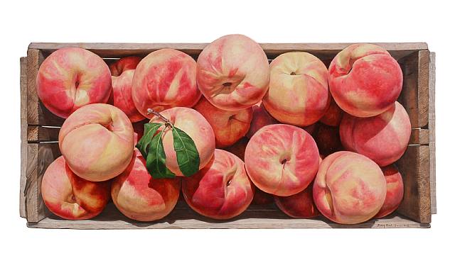 fruta.-66FF.-por Byung Rock Yoon.-2008.-Art Seasons.-Zurich, Singapur, Seoul.-artnet