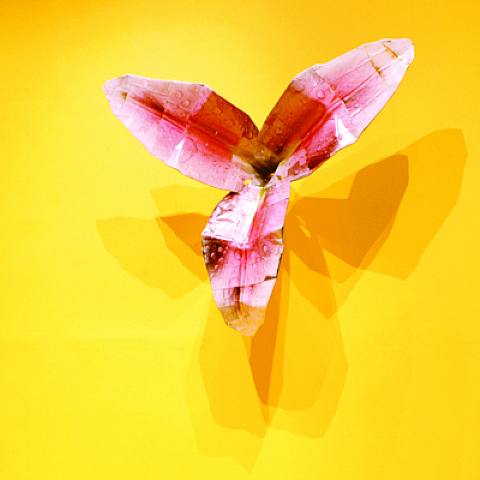 figuras.-CC4.-por Osang Gwon.-2002.-Arario Gallery.-Beigjing.-Seoul.-Korea.