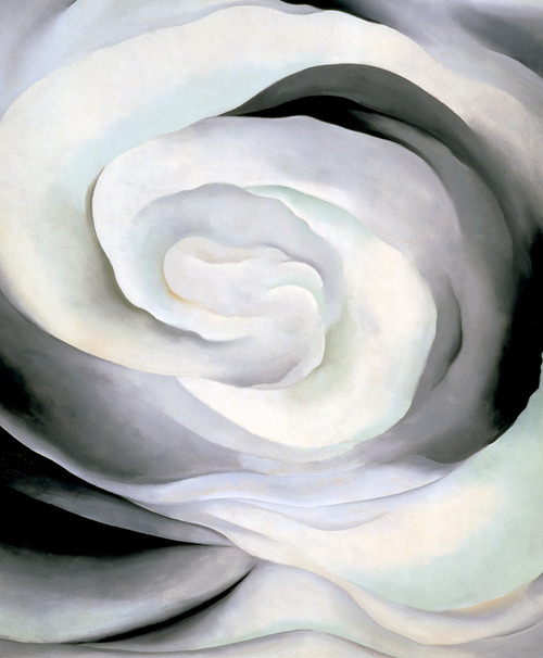 flores.-tbggb.-rosa.-Georgia O ´Keeffe.-1927