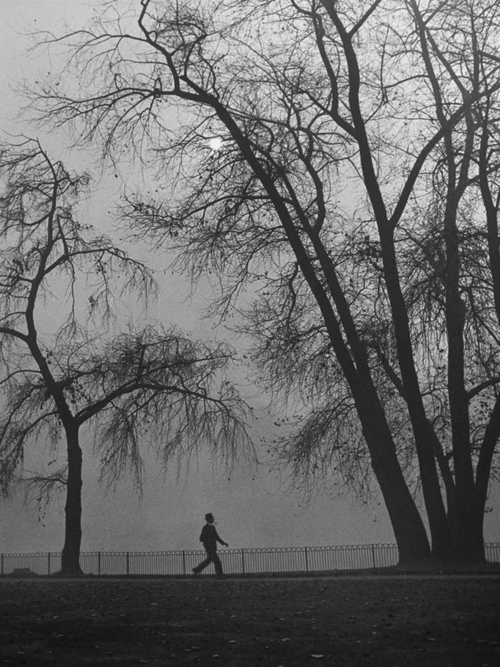 jardines.-4ded.-Hans Wild- ciudades.-Londres 1946