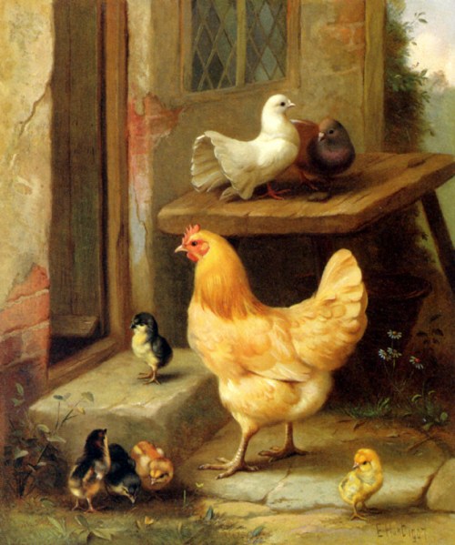 animales.-kk55.-gallina.-pollos.- Edgar Hunt.-1907