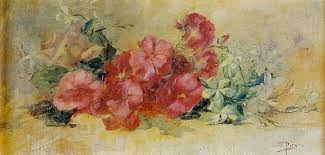 jazmines-nh-Sánchez Picazo- regmurcia com